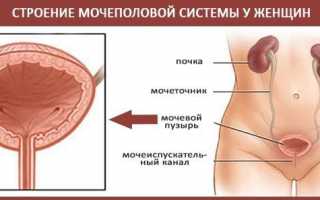 Лечение цистита в домашних условиях