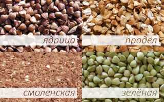 Польза и вред гречки