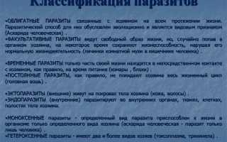 Облигатные и факультативные паразиты человека