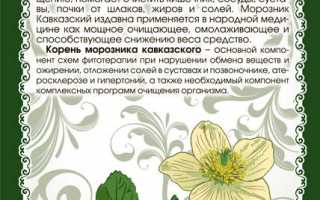 Морозник кавказский: полезные свойства