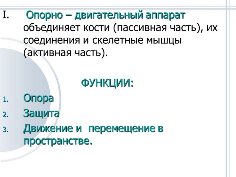 Определение и функции опорно-двигательного аппарата
