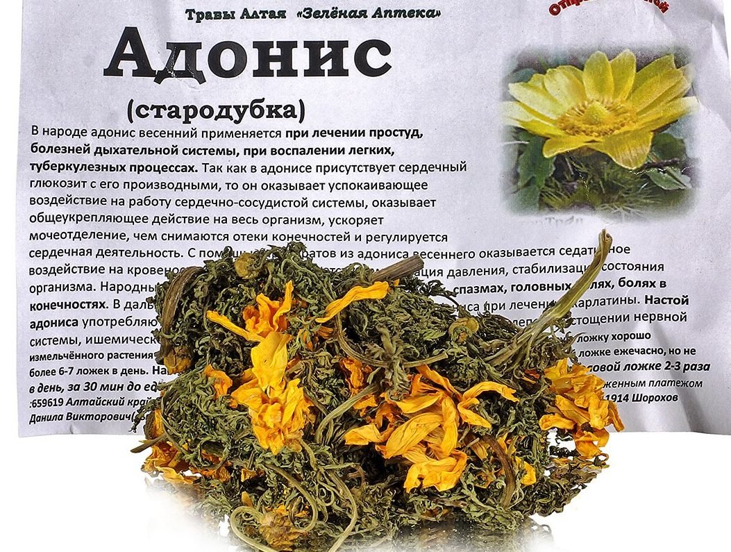 Сушёный адонис весенний