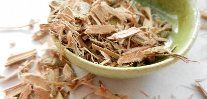 Кора белой: лечебные свойства