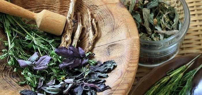 Лечение народными средствами недержания мочи