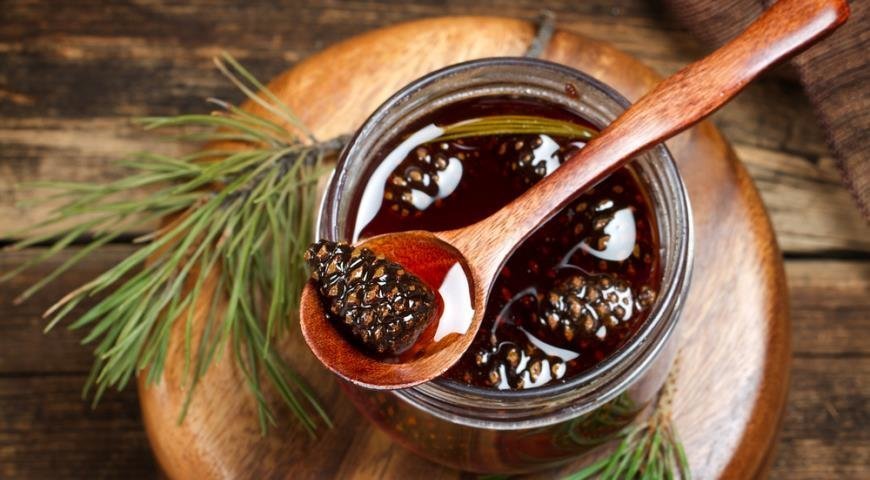Зеленые шишки сосны: польза и применение