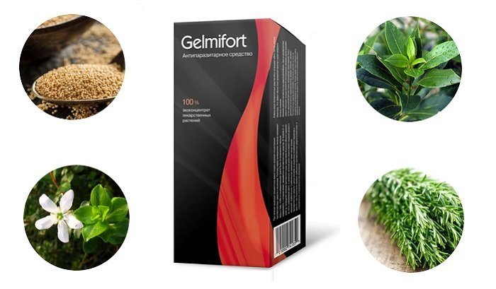 Средство от паразитов Gelmifort как применять – инструкция и состав
