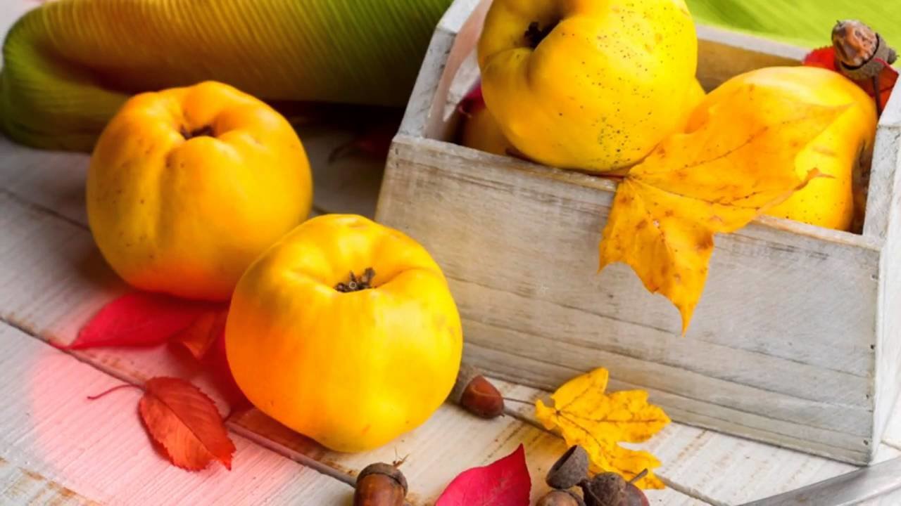 Состав и калорийность айвы