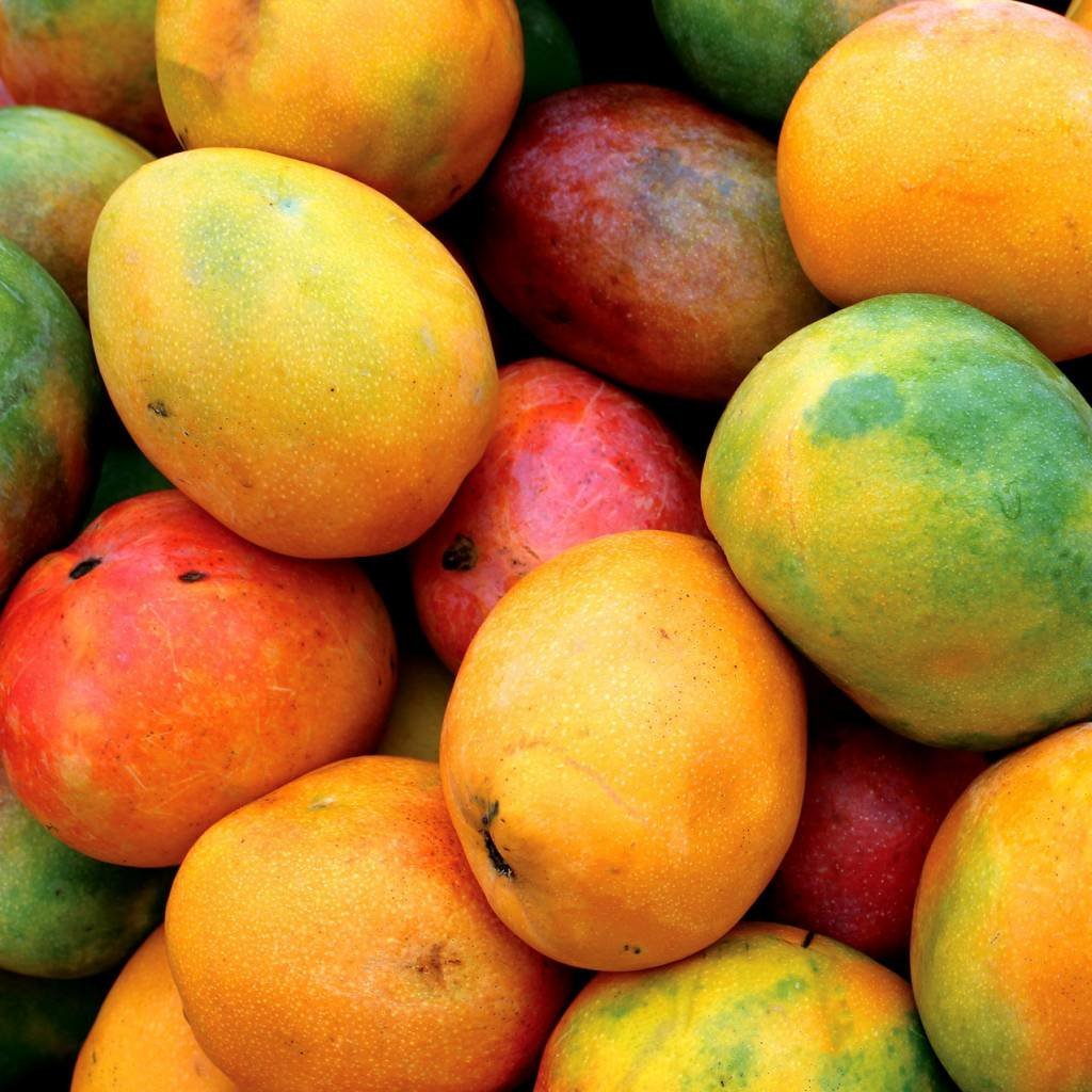  Химический состав и калорийность манго
