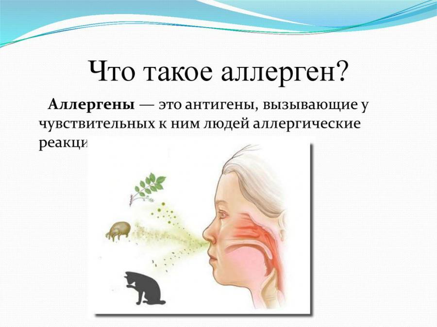 Что такое аллерген