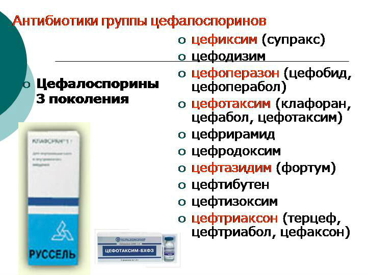 Цефалоспорины