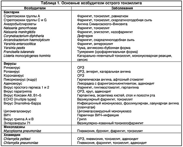 Возбудители ангины