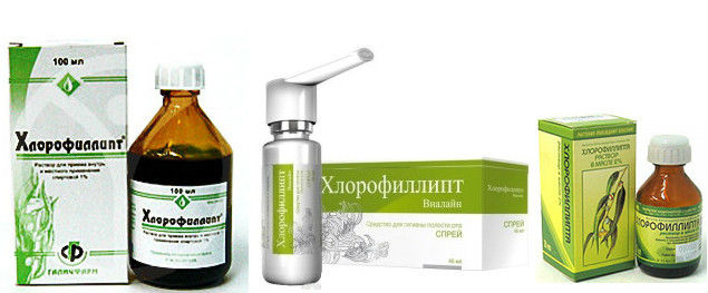 Лекарственные формы Хлорофиллипта Лекарственные формы Хлорофиллипта