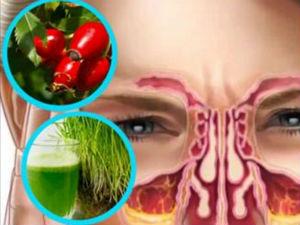 Лечение гайморита народными средствами
