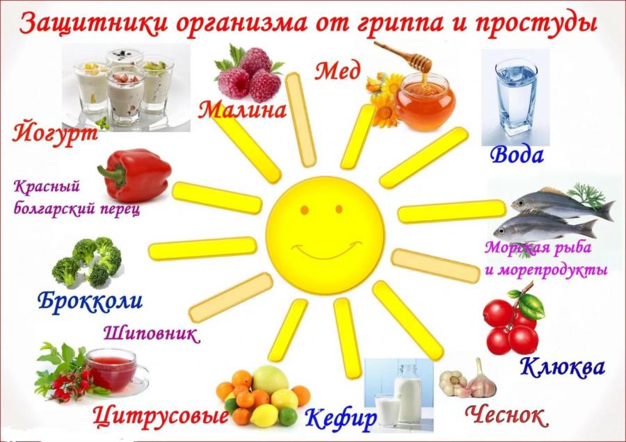 Профилактика гриппа и простуды