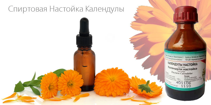 Настойка календулы