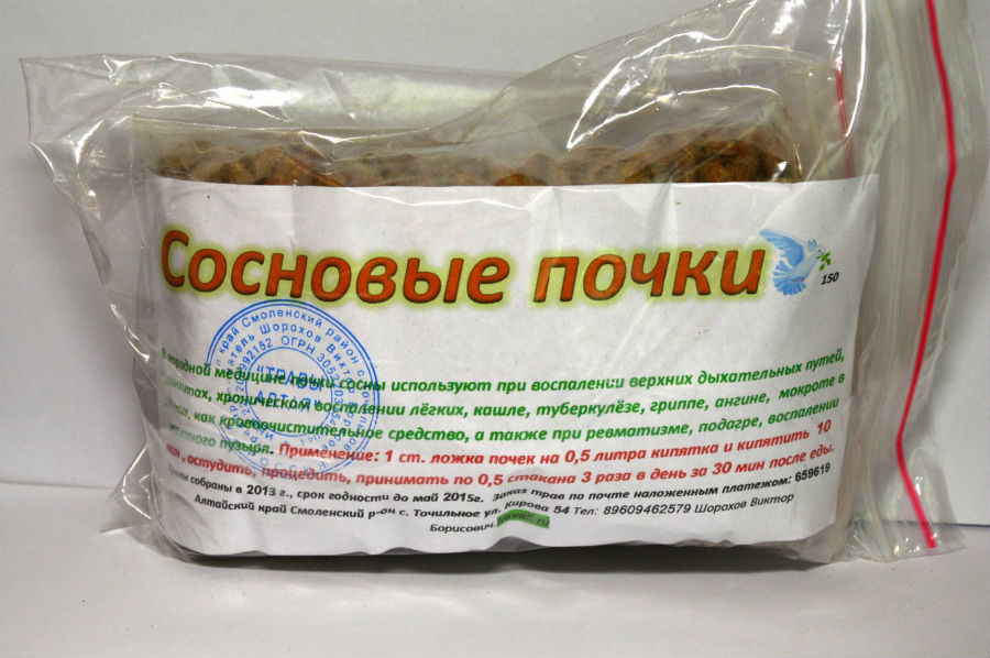 Сосновые почки Сосновые почки