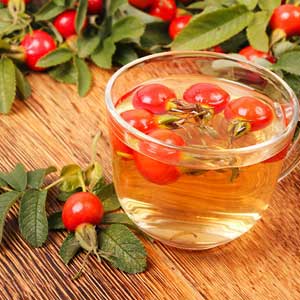 Как варить шиповник?