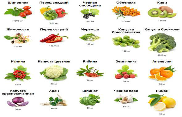 Овощи и фрукты Овощи и фрукты