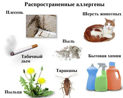 Аллергены Аллергены