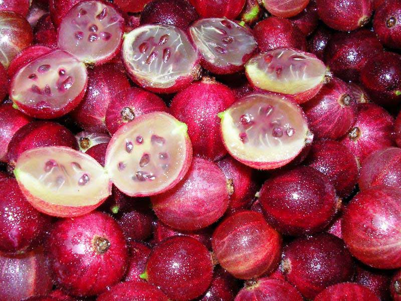 Профилактика заболеваний