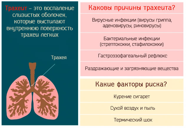 Причины и факторы риска трахеита
